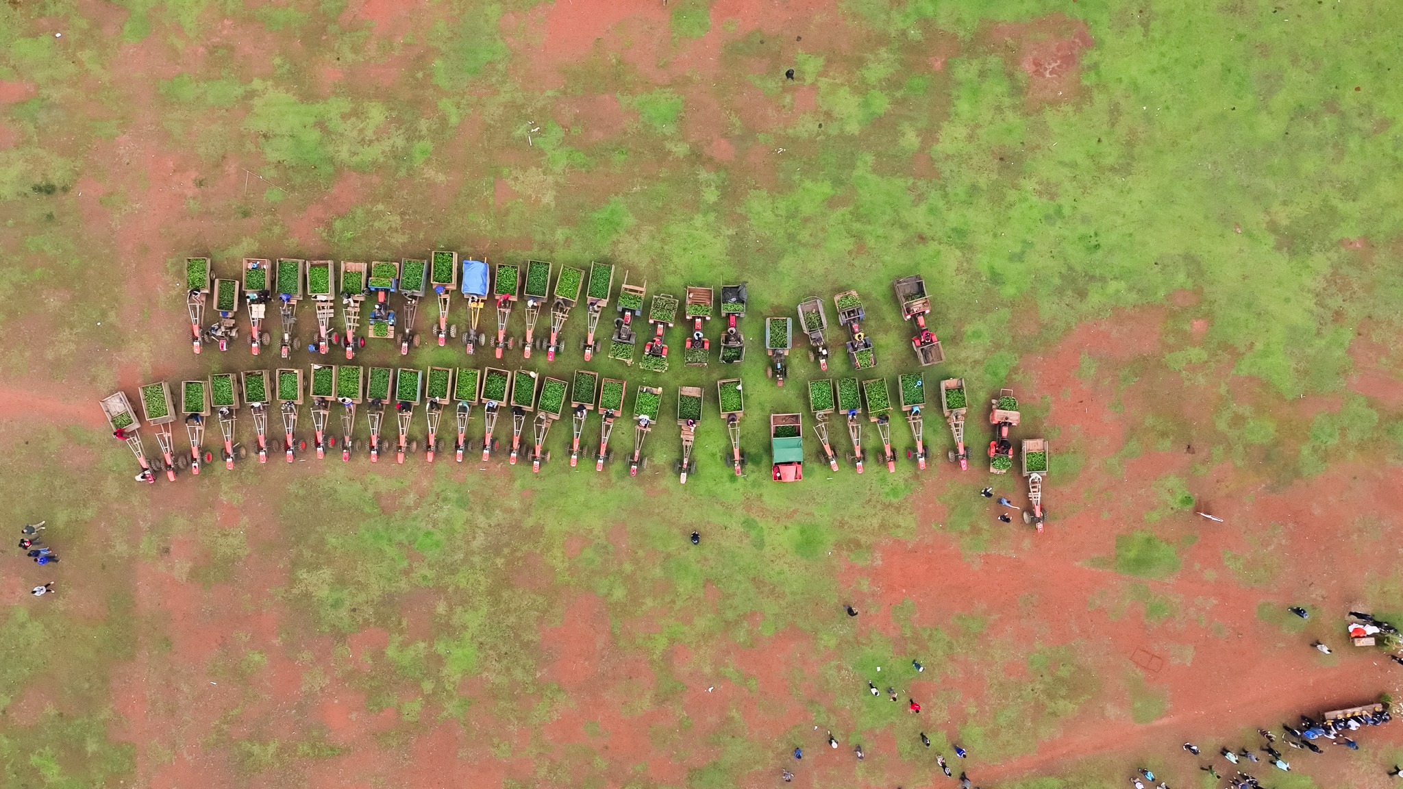 Aerial view of the Coffee Ring caravan gathered in Dak Cheung